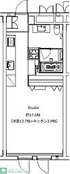 ゼルコヴァ 405
