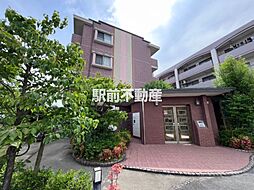 プリマヴェーラ花の木 302