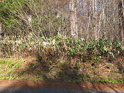 定住可能地域、除雪あり