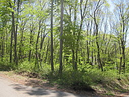 大学村、角地、現状有姿売買