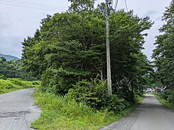 スキー場近くの山林