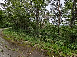 近鉄野尻湖別荘地