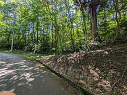 飯綱高原、高岡別荘地