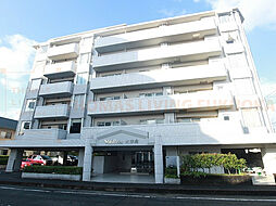 ヴォルフスガルテン太宰府 503