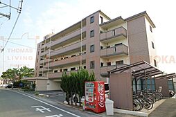 Shoeless春日（シューレス春日） 503