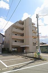 ウィステリア 202