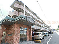 リバティエアコート 306