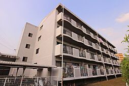 ホワイトコート 406