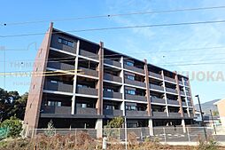 エルヴィータ 101