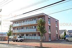 プルヌスコリーヌ 201