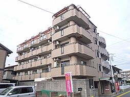 COCO白木原 204