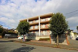 ロイヤルガーデン原田 203