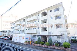 ディナスティ 206