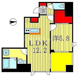 フェリス コート