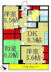 パインツリーコート