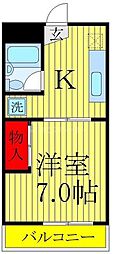 ホワイトルミエール