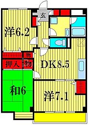 パインツリーコート