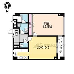 ＮＯＲＴＨＣＯＵＲＴ 202