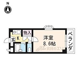 ジーアップ・レイ