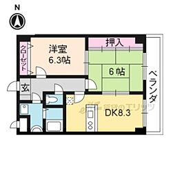 コスモスフローラ醍醐