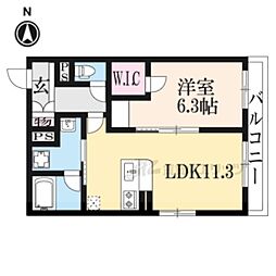 SHAMAISON PLUM BLOSSOM