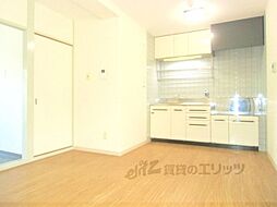 カーサフジキ 205