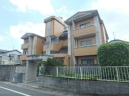 マテンソレイユ 105