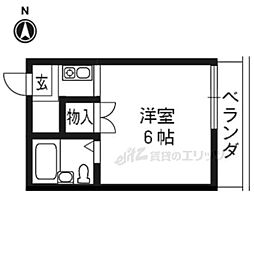 コットンハウス95 305