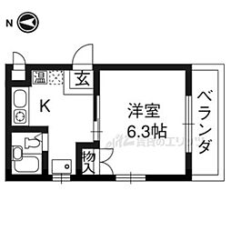 エバーグリーン 201