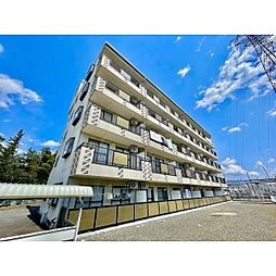 Ｆｉｎｅ　Ｏａｓｉｓ　Ａｍｙｙ