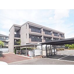 エヴァーグリーン2000