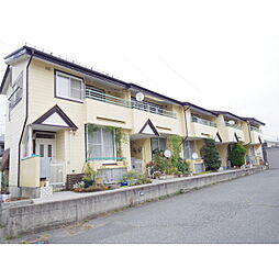 アメリカン・ドゥエル