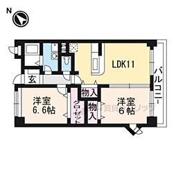 プリムローズ・Ｊ 704