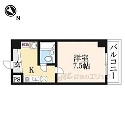 ピュア・ドミトリーシミズ 1124