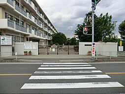 朝霞市朝志ヶ丘4丁目　土地　A