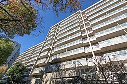 シーアイハイツ和光　10階11階