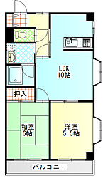 エクレシア 207