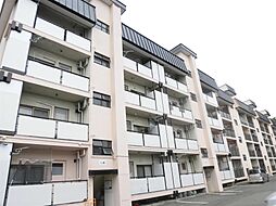 霞雅ビル　B棟