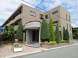 メイブラッサム