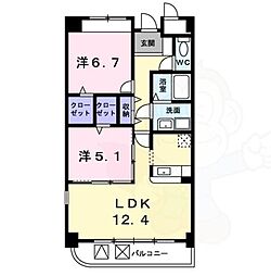 プレシャスコート