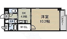 ソフィア・八田