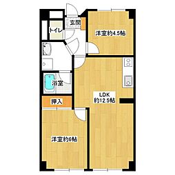 ノーブルコート 505