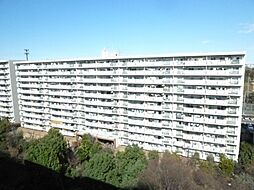 昭島つつじが丘ハイツ北24号棟