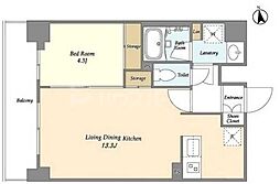 ＯＲＳＵＳ　ＵＭＥＪＩＭＡ