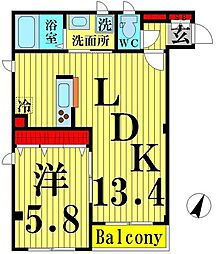 ラシーネ扇サクラ