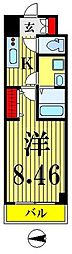 ホーリーホック