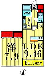 プランドール 202