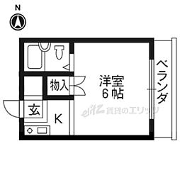 コットンハウス95
