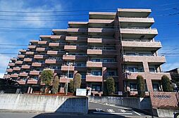 ソーニ・ドゥ・オーロ 606