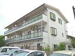 CATTLEYA MANSHON 207